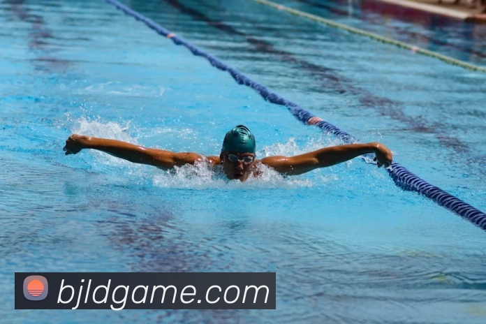 百家乐网站平台生态图